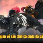 Đá Gà VMAX – Mỗi Trận Là Một Màn Đấu Trí Đầy Kịch Tính