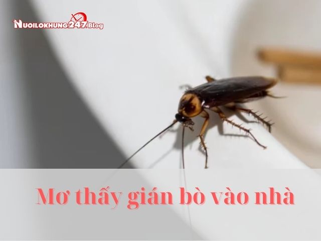 nằm mơ thấy con gián
