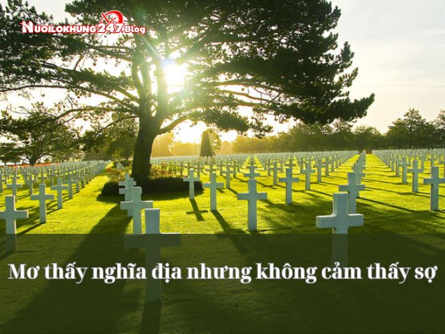 mơ thấy nghĩa địa