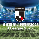 Cập nhật lịch thi đấu J-League 2025 chi tiết cho bet thủ