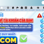 Trang chủ RR88 – Trải nghiệm đẳng cấp, chạm một lần là mê ngay