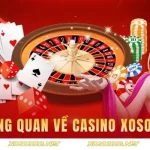 Casino XOSO66 – Thiên đường giải trí đỉnh cao cho người chơi yêu trải nghiệm mượt mà