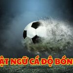 Thuật ngữ cá độ bóng đá – Bộ từ vựng quan trọng khi cần biết