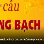 Soi cầu 247 rồng bạch kim vip  – Phân tích dự đoán lô đề chuẩn xác