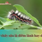 Điềm báo lành hay dữ khi mơ thấy sâu? Đánh số bao nhiêu?
