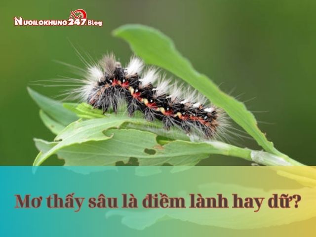 Điềm báo lành hay dữ khi mơ thấy sâu? Đánh số bao nhiêu?